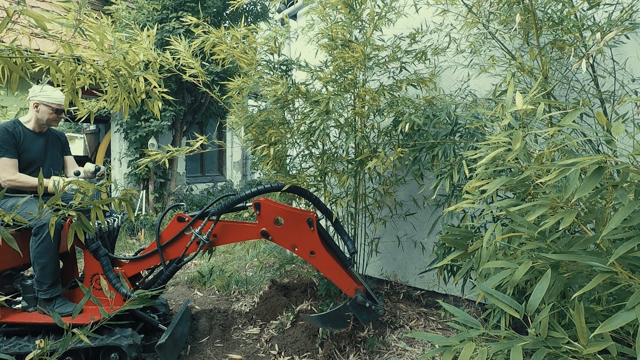 Bambus entfernen