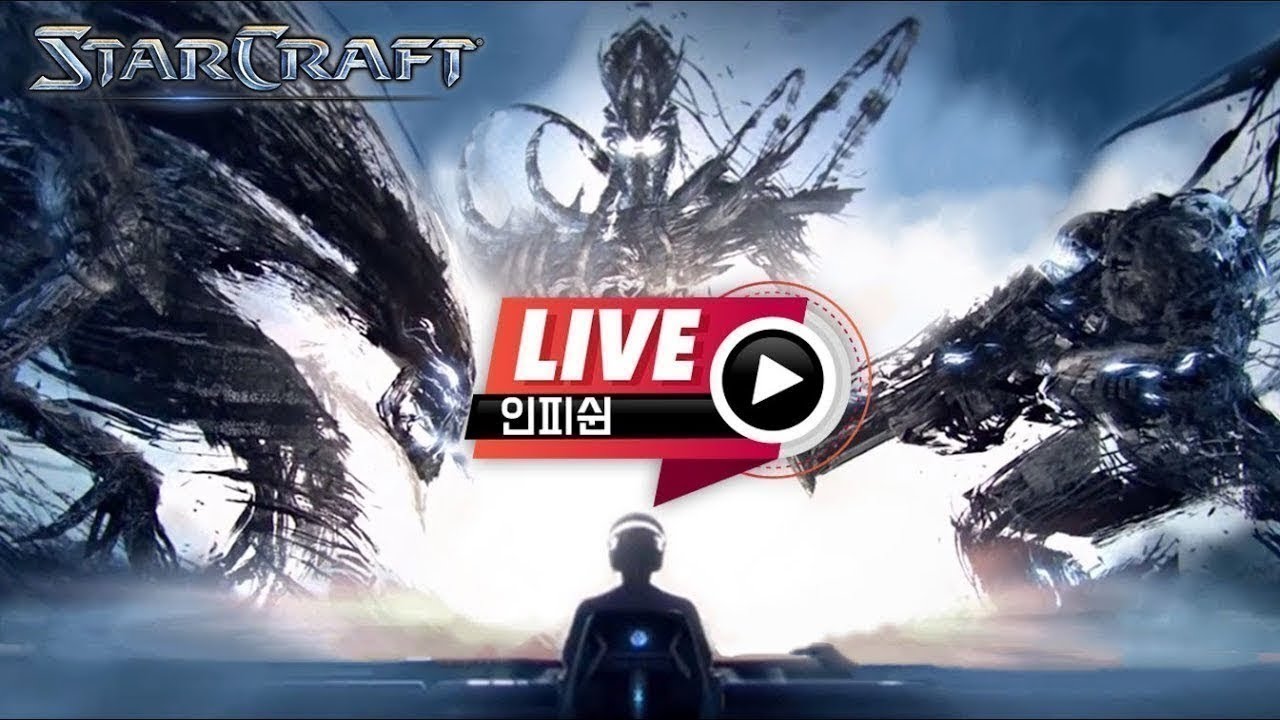 24.10.05(토) 【 인피쉰 생방송 다시보기 】 스타 빨무 스타크래프트 Starcraft