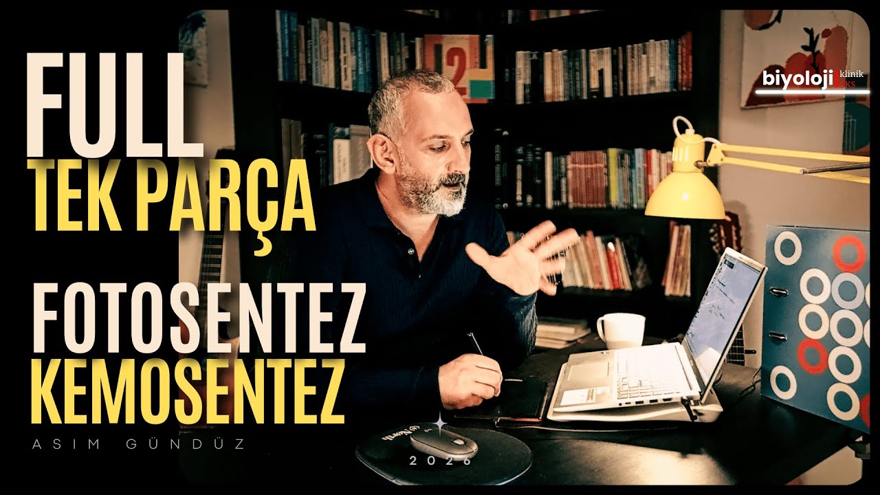 Fotosentez | Full Tek Parça