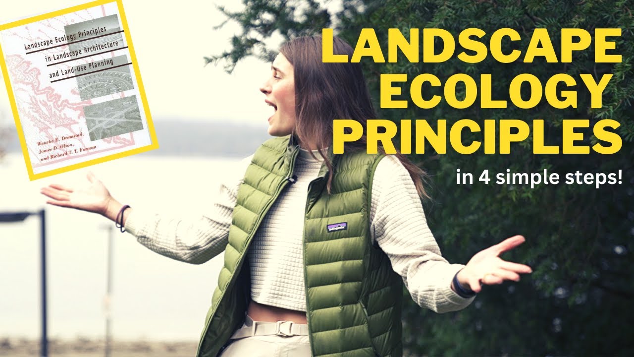 Landscape Ecology Principles: Unlock Harmonious Cities in 4 Simple Steps!