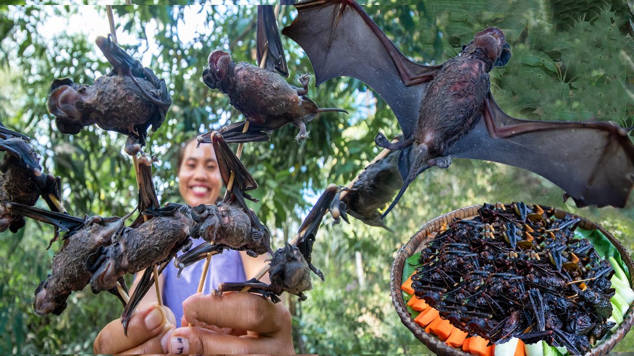 Deep Fried Bat recipe #cooking