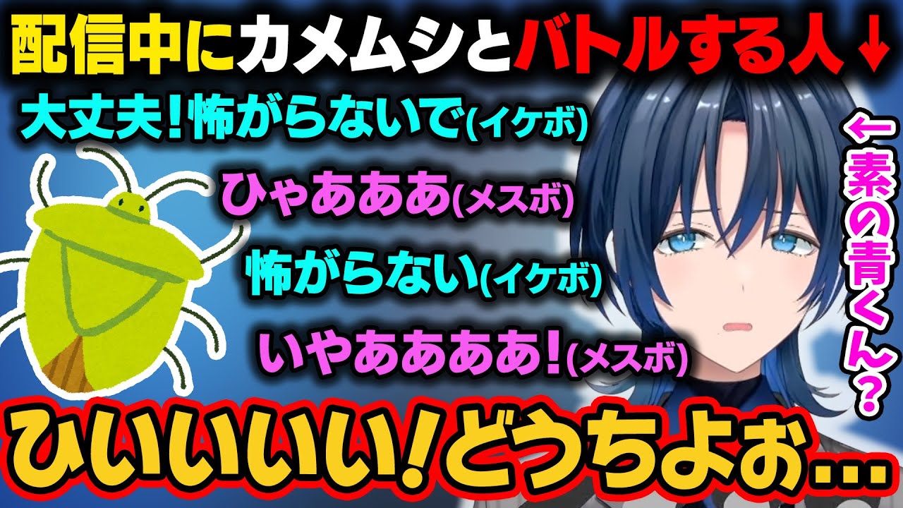 配信部屋に出現したカメムシ。配信前に捕獲したが脱出してしまい、再び配信中にメスボを出しながら戦う青くんｗ【火威青/ホロライブ切り抜き】