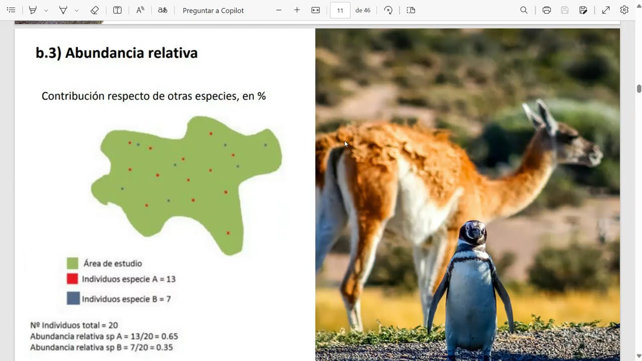 Técnicas de muestreo de Fauna Terrestre - Cálculo de densidad e índices de biodiversidad