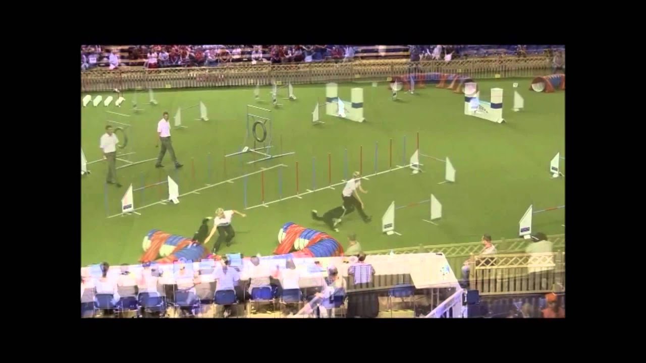 Agility Worldchampionship 2014 Lisa Frick & Hoss