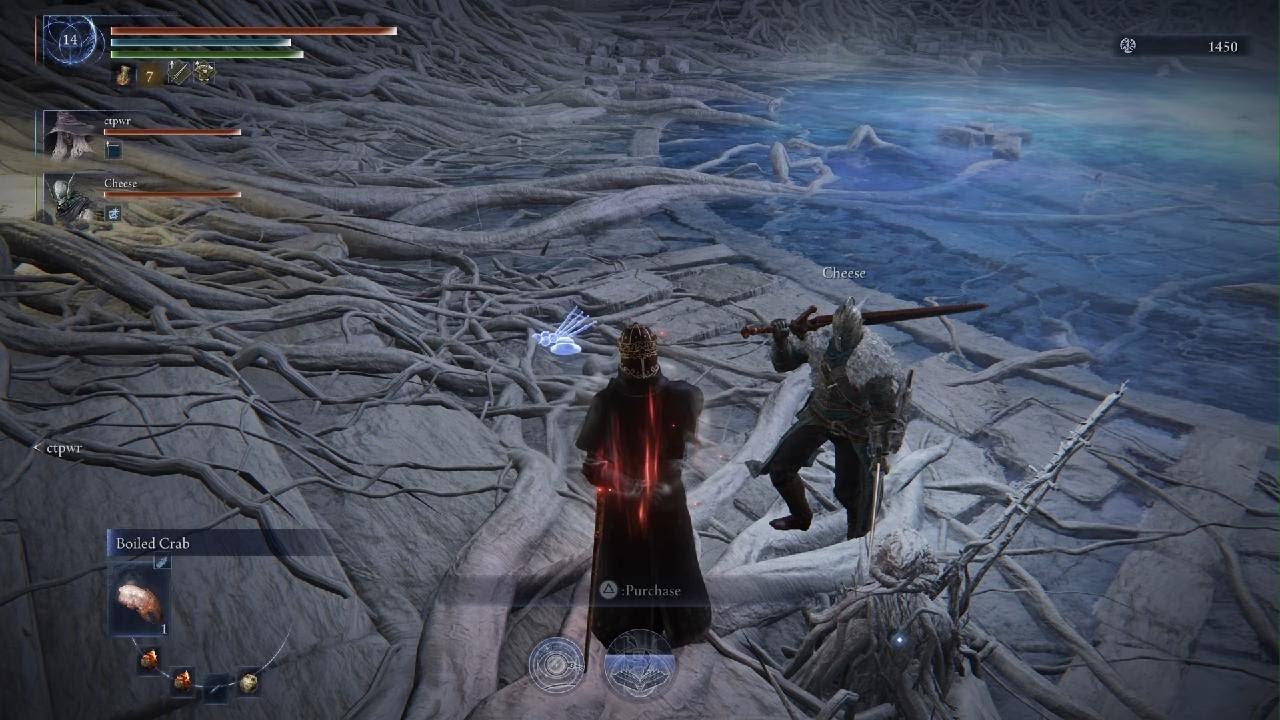 ELDEN RING NIGHTREIGN Dreglord