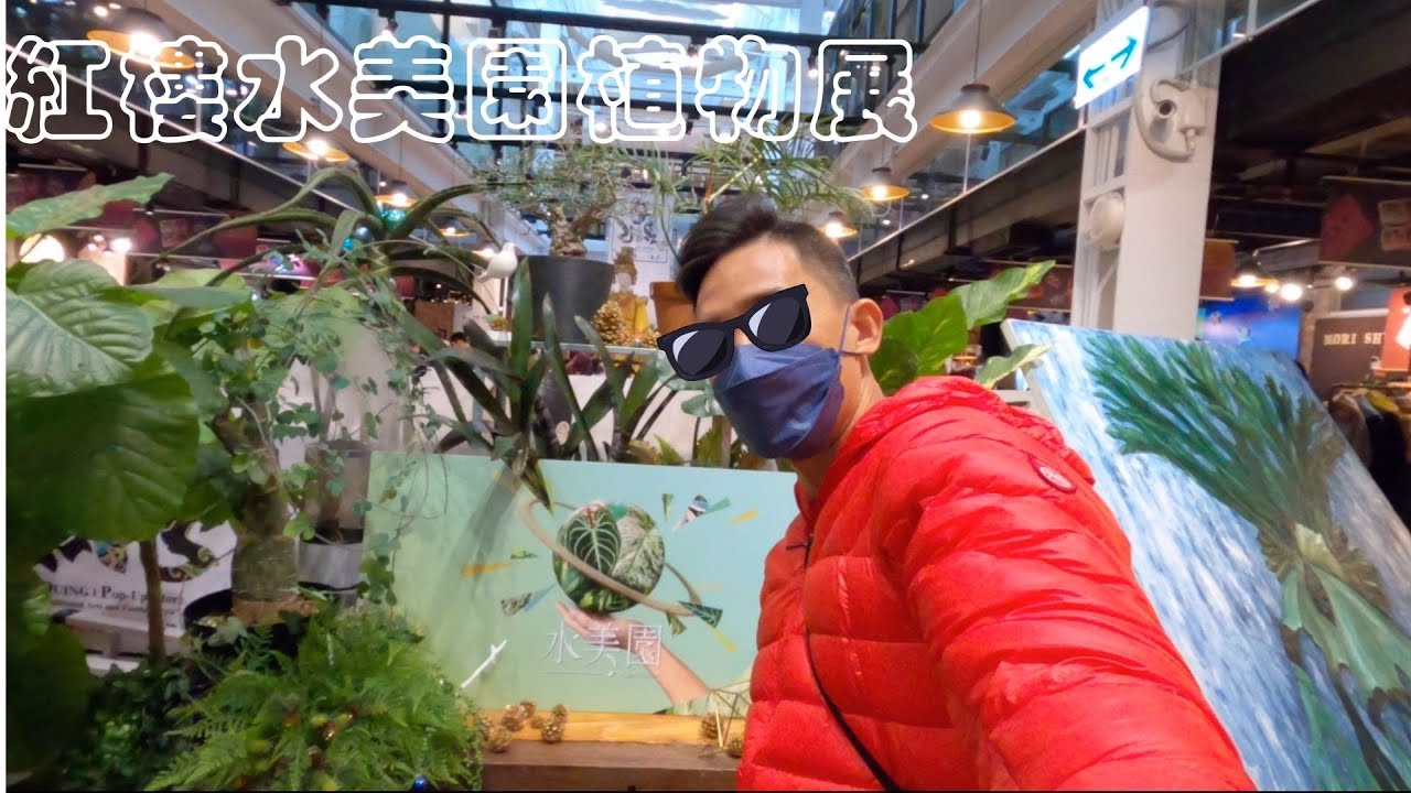 水美園植展  西門紅樓 大神雲集的沙丁魚罐頭植人熱潮!!! 宅栽/雙十蕨/JC 親切分享觀葉植物～
