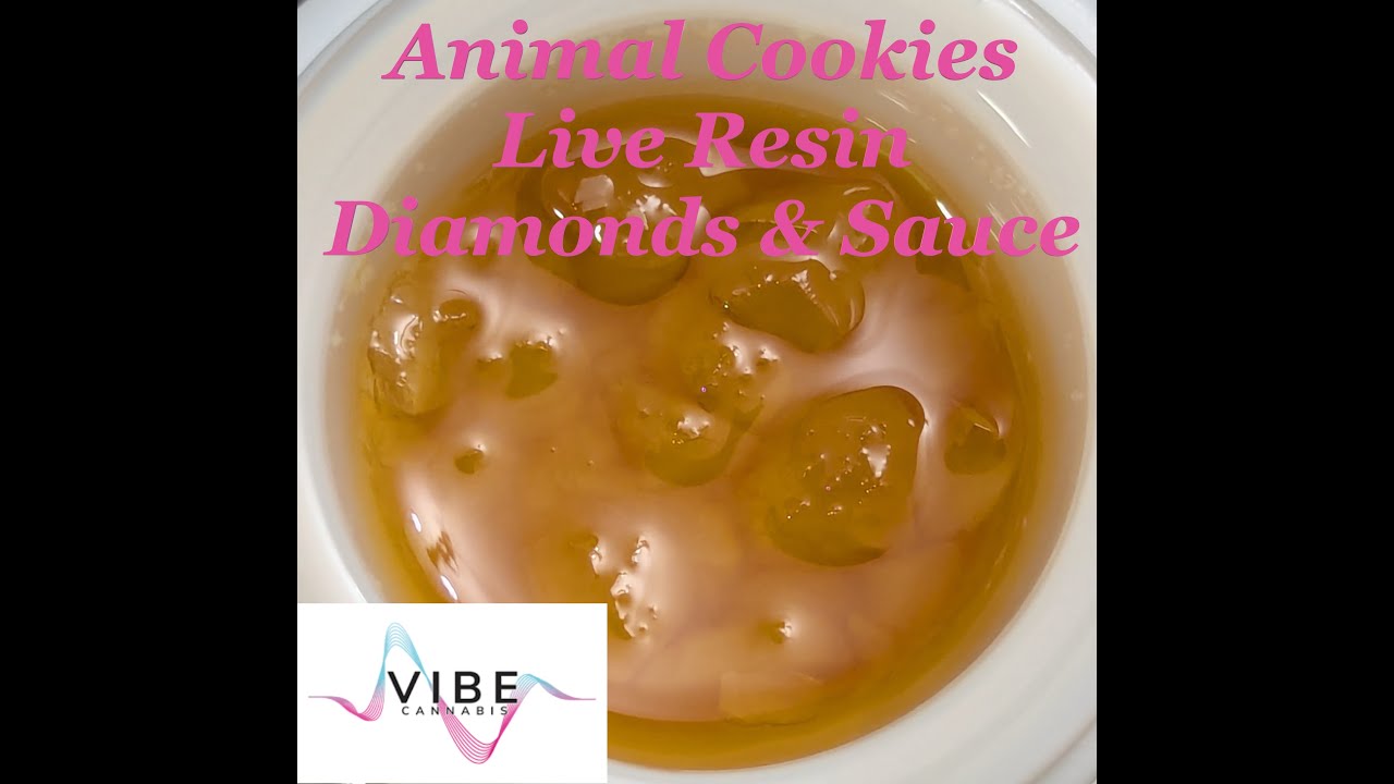 Vibe Animal Cookies Live Resin Diamonds & Sauce (2G) Review - #TheMeterDabs