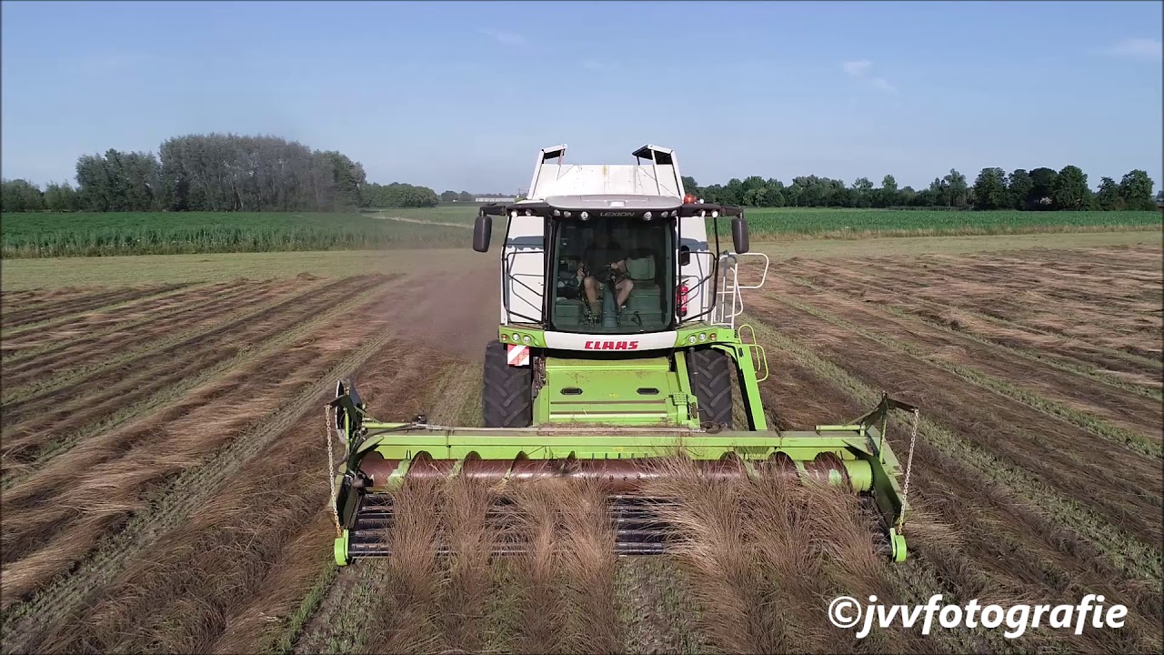Claas Lexion 660 graszaad dorsen 2020 van dijke semo