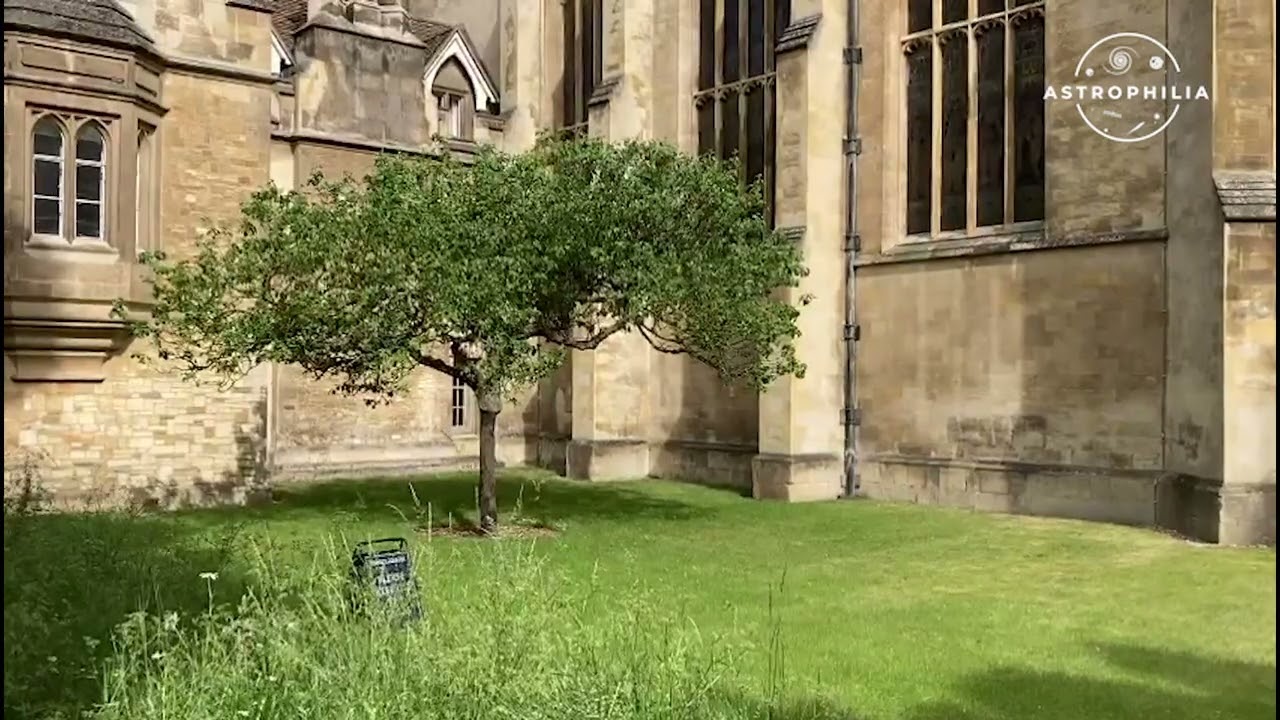 Newton en Cambridge
