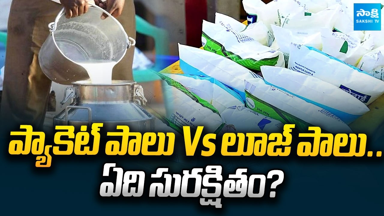 Amul Controversy: Packet Milk Vs Loose Milk &ndash; Which Is Safe & Better? | Sakshi Family