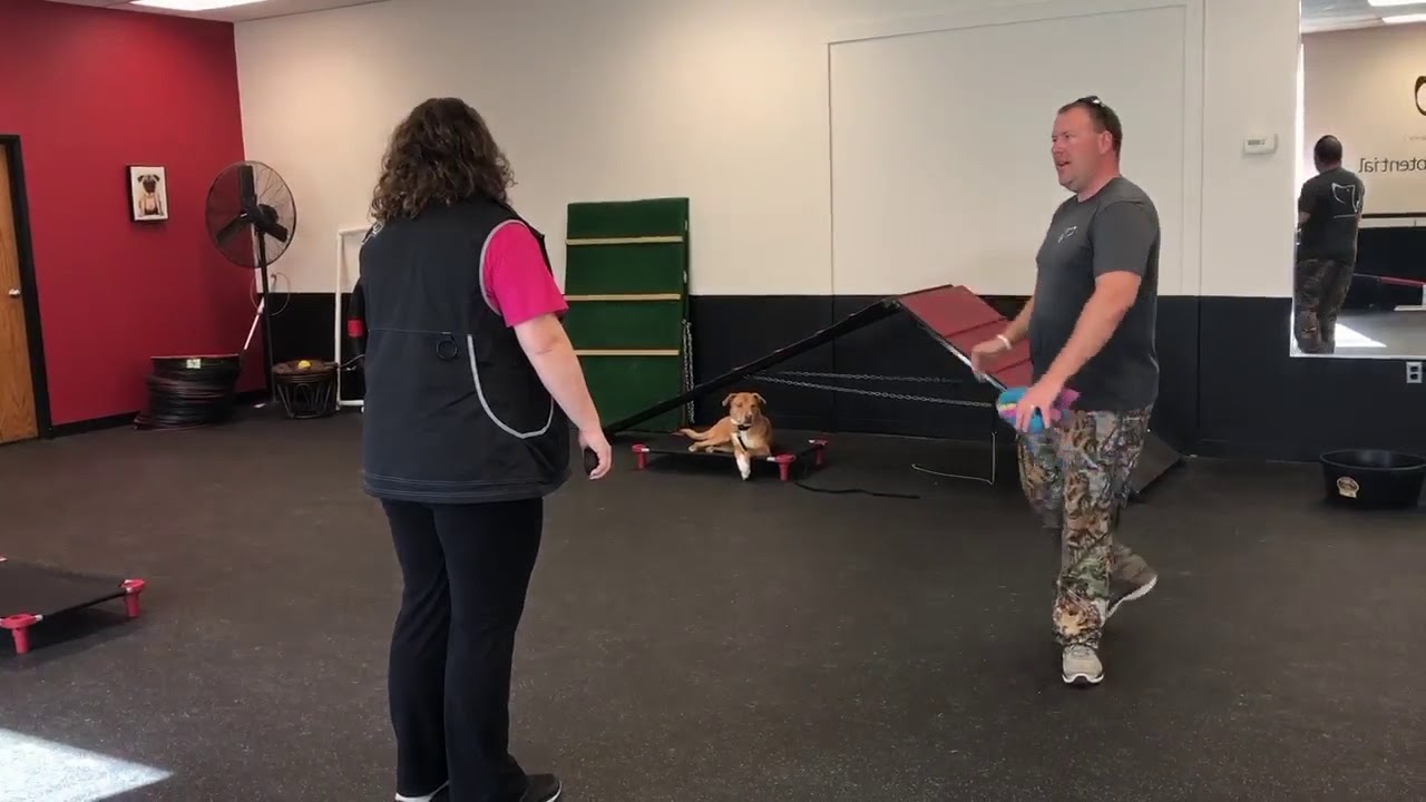 Duke Ferguson Coaching Dog Trainers / Giving HOPE while learning self control