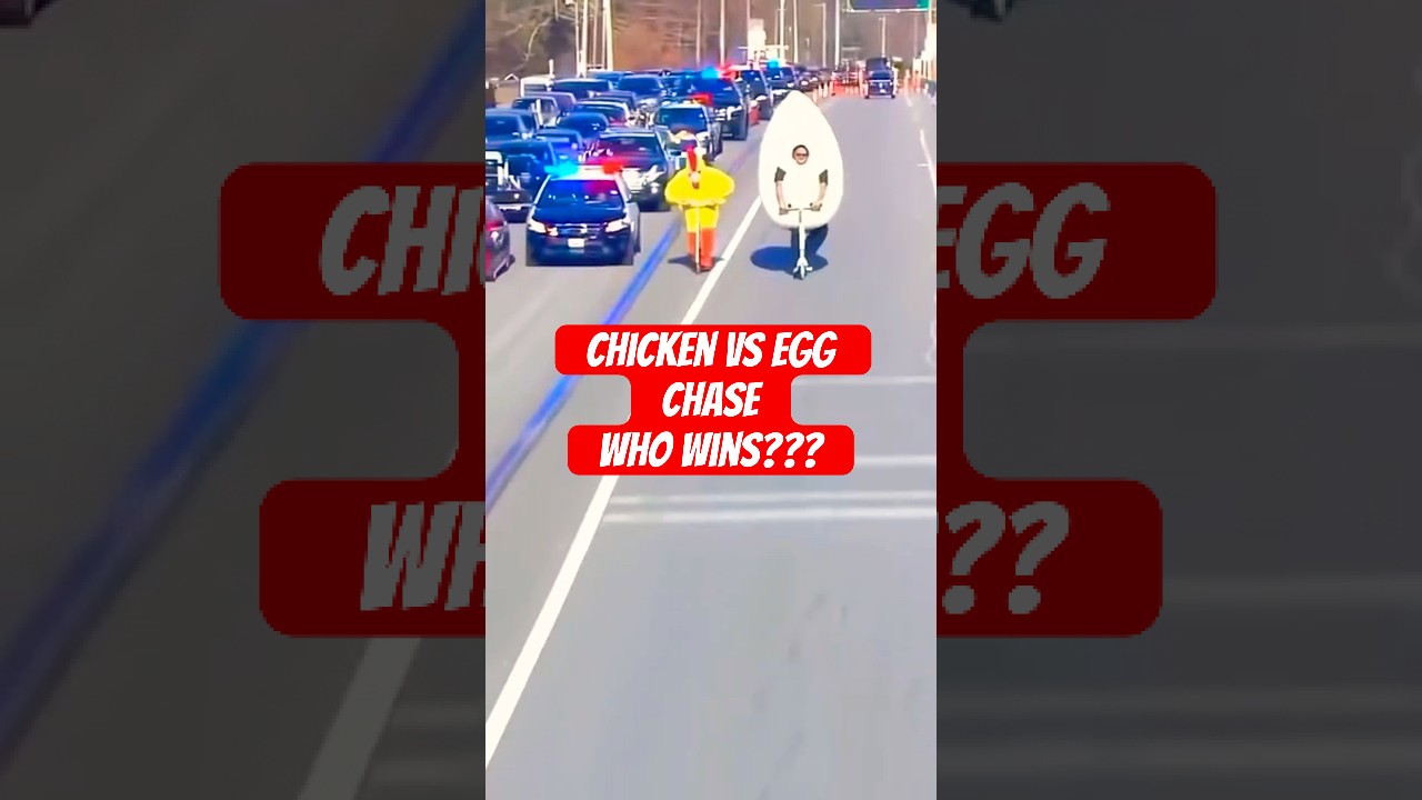 Police Chase Chicken & Egg on Scooters Down Highway 😭🚓🐔🥚