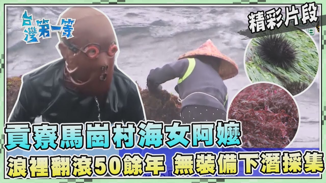 台灣第一等【貢寮馬崗漁村海女 7旬阿嬤願潛到生命最後一口氣（採集石花菜／滸苔／饕客必點髮菜 一斤3200元）】_495集精選版