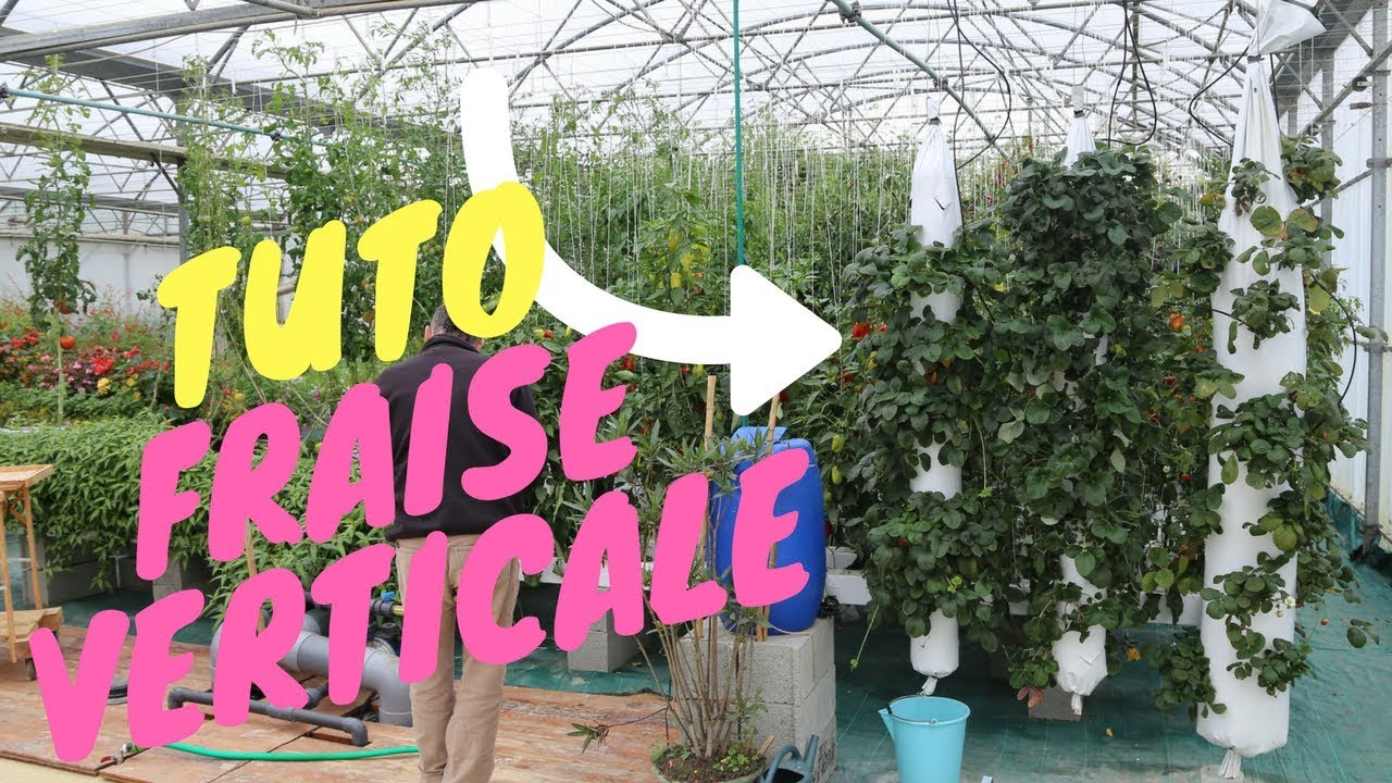 Fabriquer sa Tour de Fraise Hydroponique pour moins de 10€ ! - TUTO