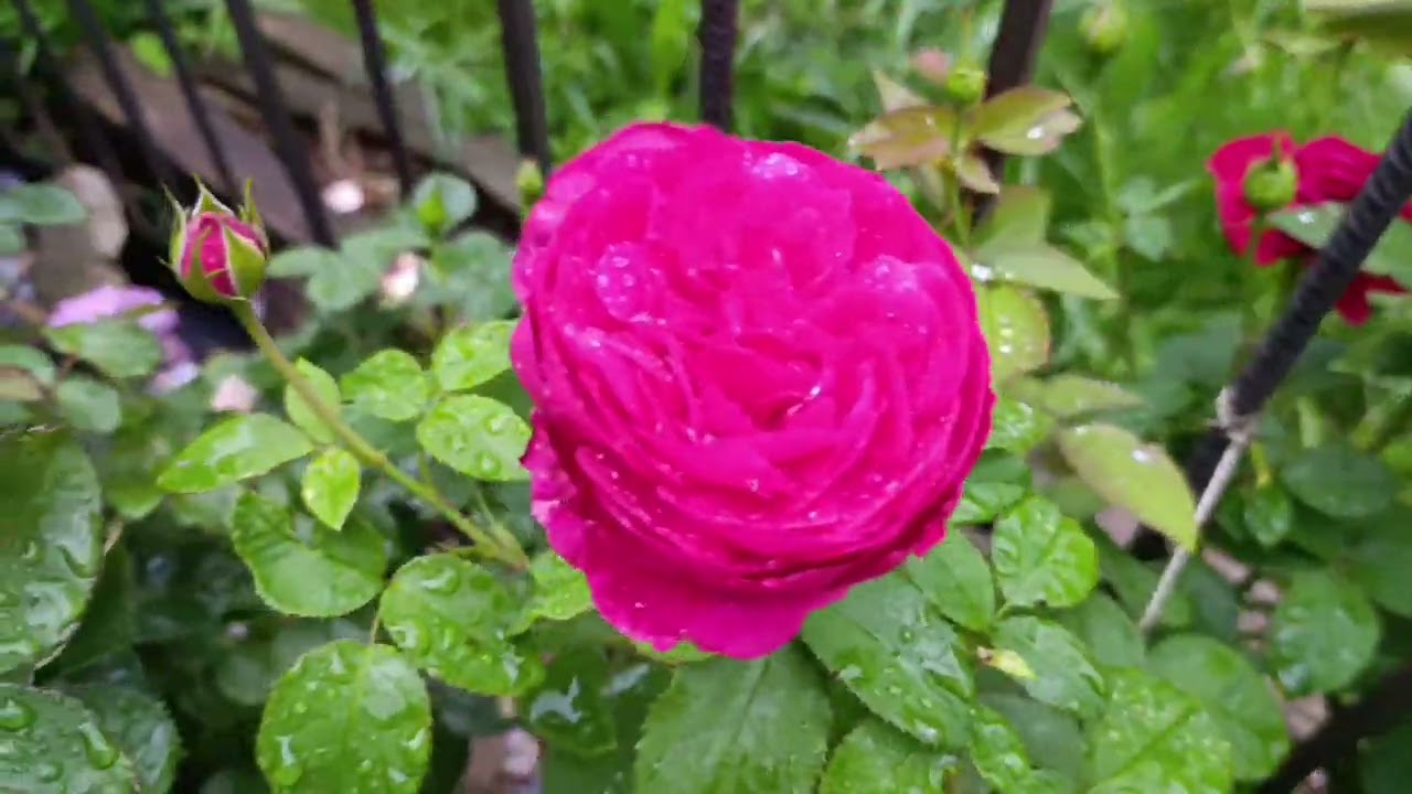 Липень добіг кінця. Чекаємо серпня