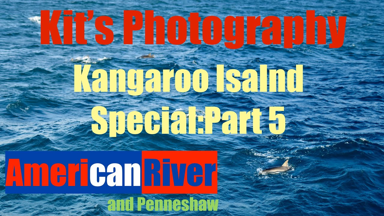 Kit's Photography Kangaroo Island Special Episode 5: American River and Penneshaw.
