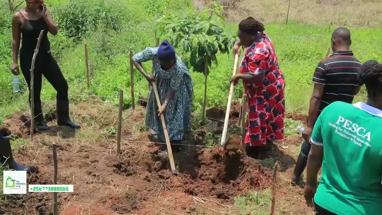 Fish  Pond Construction | Full details and measurements #farming #fishing