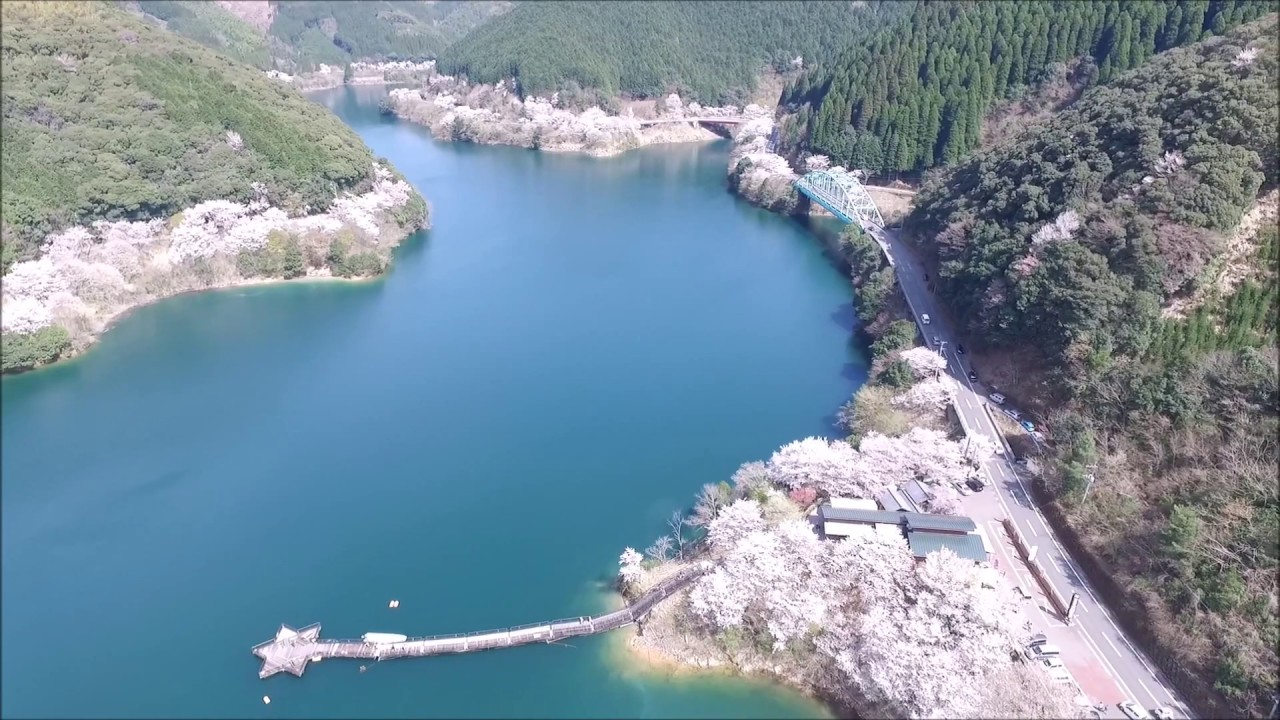 熊本県　水上村市房ダム湖の桜！