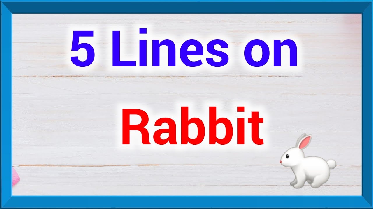 5 lines on Rabbit in english for lkg, ukg, few sentences about Rabbit in english,