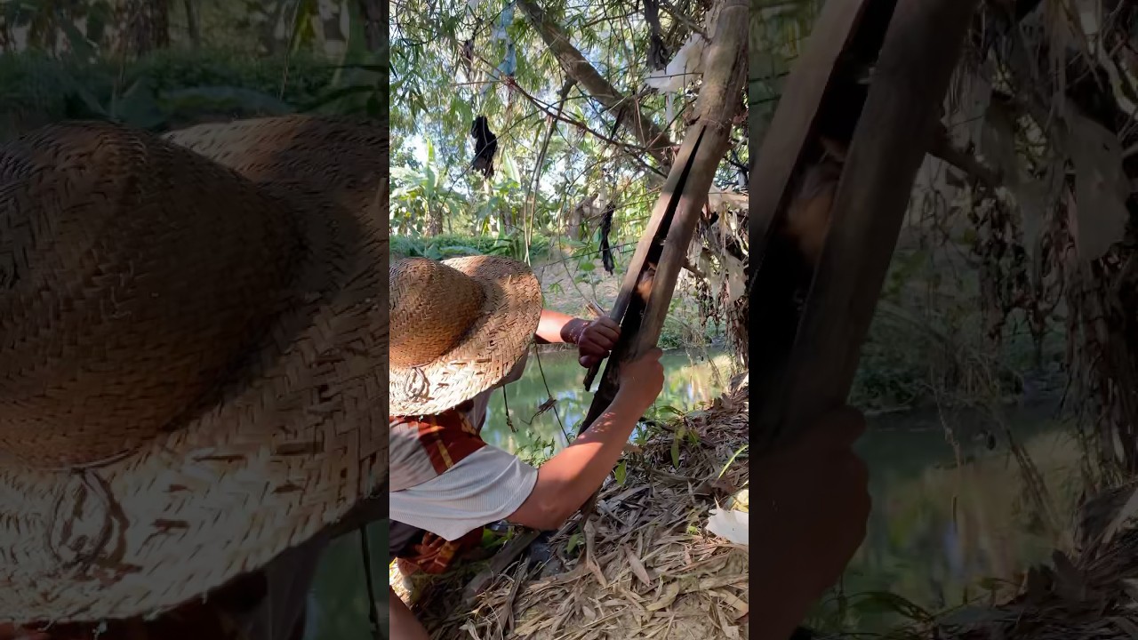 Almost Missed Caught #animals #nest #wildlife #naturesvoice #nature #birdsong #farming #cute #shorts