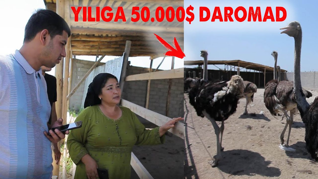 TUYAQUSH BOQIB YILIGA 50.000$ DAROMAD QILISH.TUYAQUSH BIZNESI