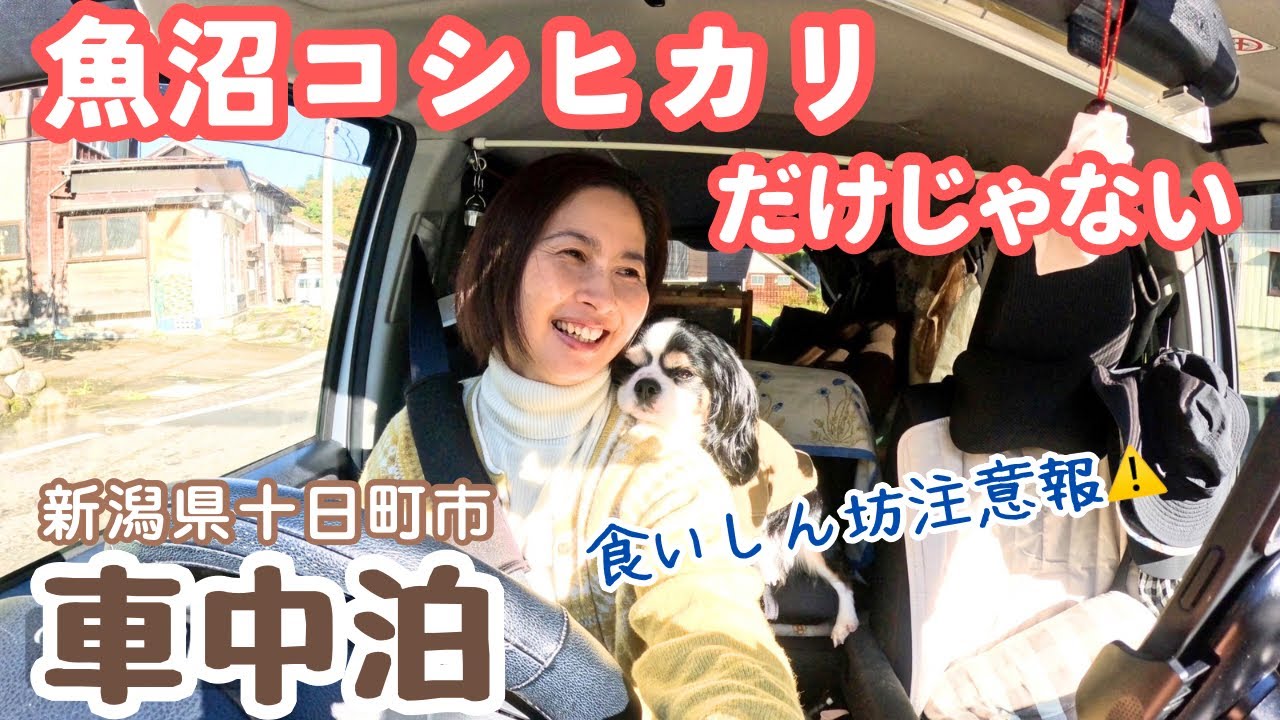【新潟】なにを食べても美味しい！食欲と芸術の秋を満喫。懐かしい日本の風景とアートが融合する不思議なまち、十日町市。