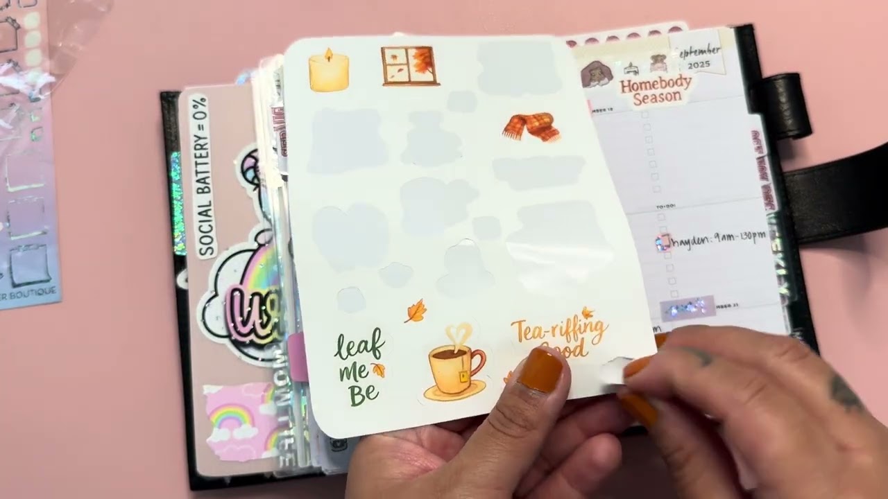 Day Designer: Weekly Plan With Me & Flipthrough ✨ 