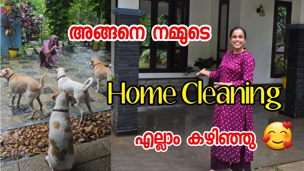 അങ്ങനെ നമ്മുടെ ഹൗസ്  ക്ലീനിങ് എല്ലാം കഴിഞ്ഞു 🥰 | Daily Vlog | Family Life | Couples 