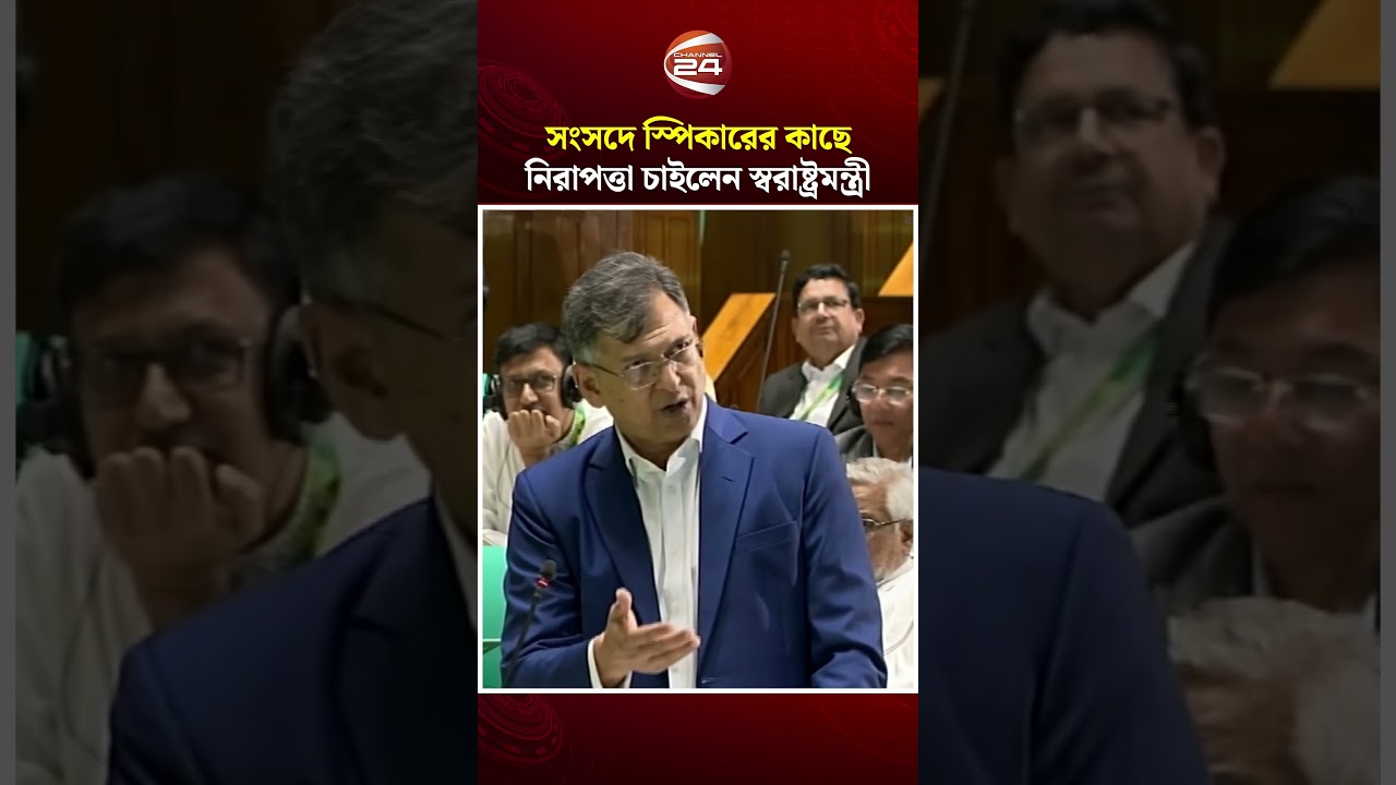 সংসদে স্পিকারের কাছে নিরাপত্তা চাইলেন স্বরাষ্ট্রমন্ত্রী | Salahudddin Ahmed | BNP | Channel 24