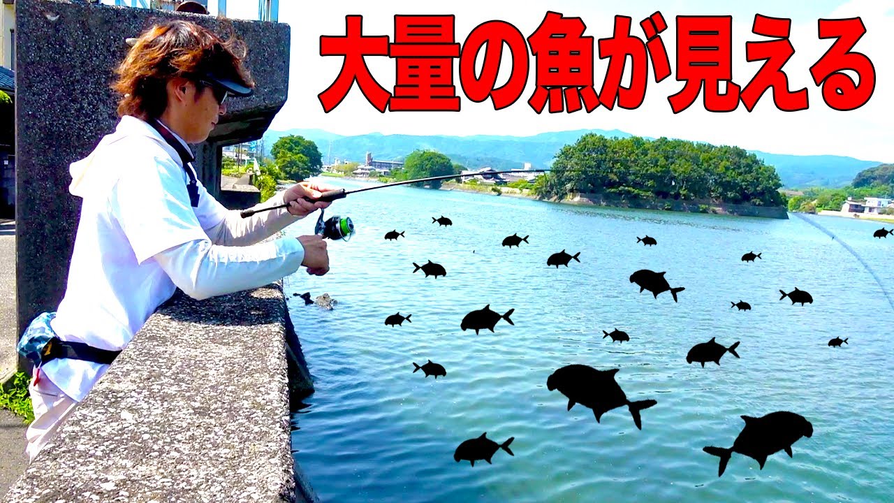 大量の魚が見える河口にルアーを投げ込むと！
