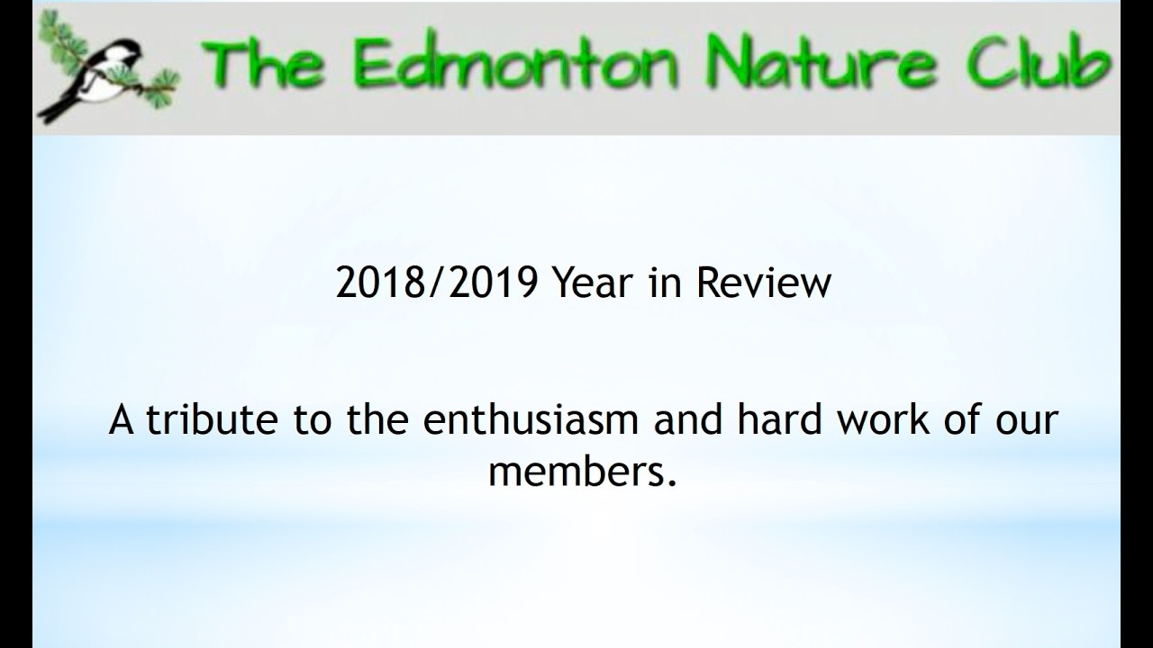 2018-2019 Year in Review