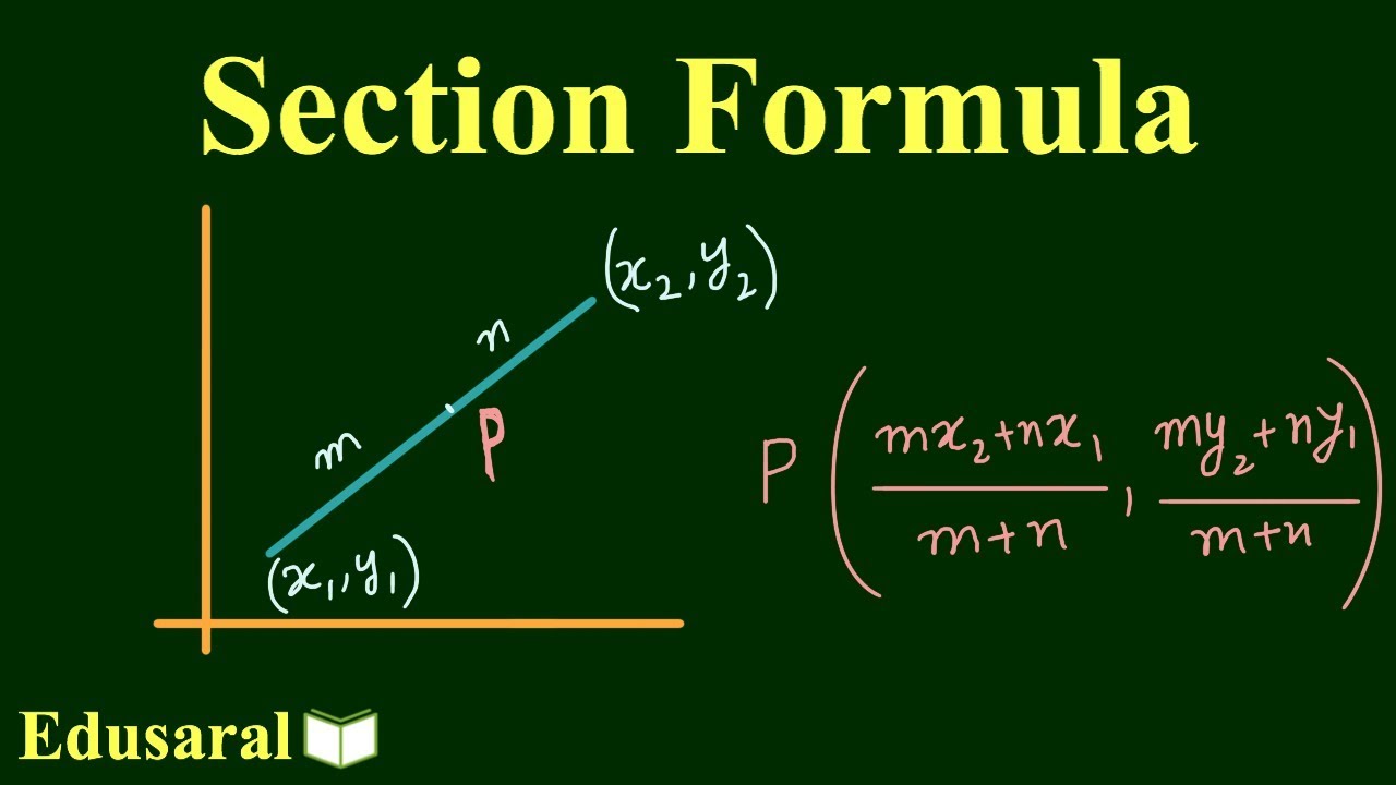 Section Formula for Internal and External Division | Basic Geometry Concept | IITJEE | Edusaral