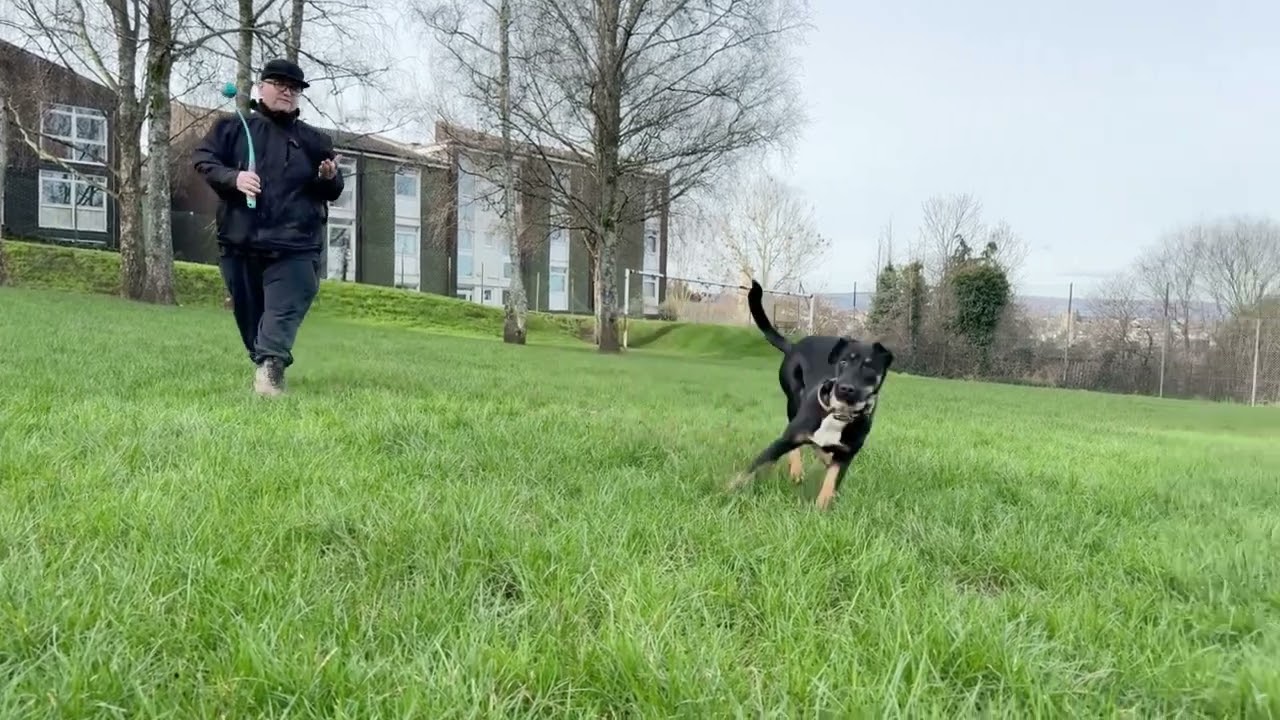 Hands free shooting with my dog in the park 