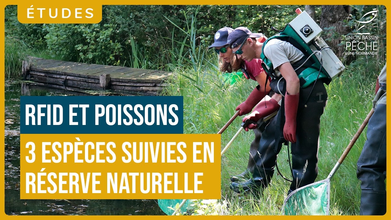 📡 🐟 Suivi piscicole par RFID au sein d'une réserve naturelle nationale dans l'Aisne (02) !