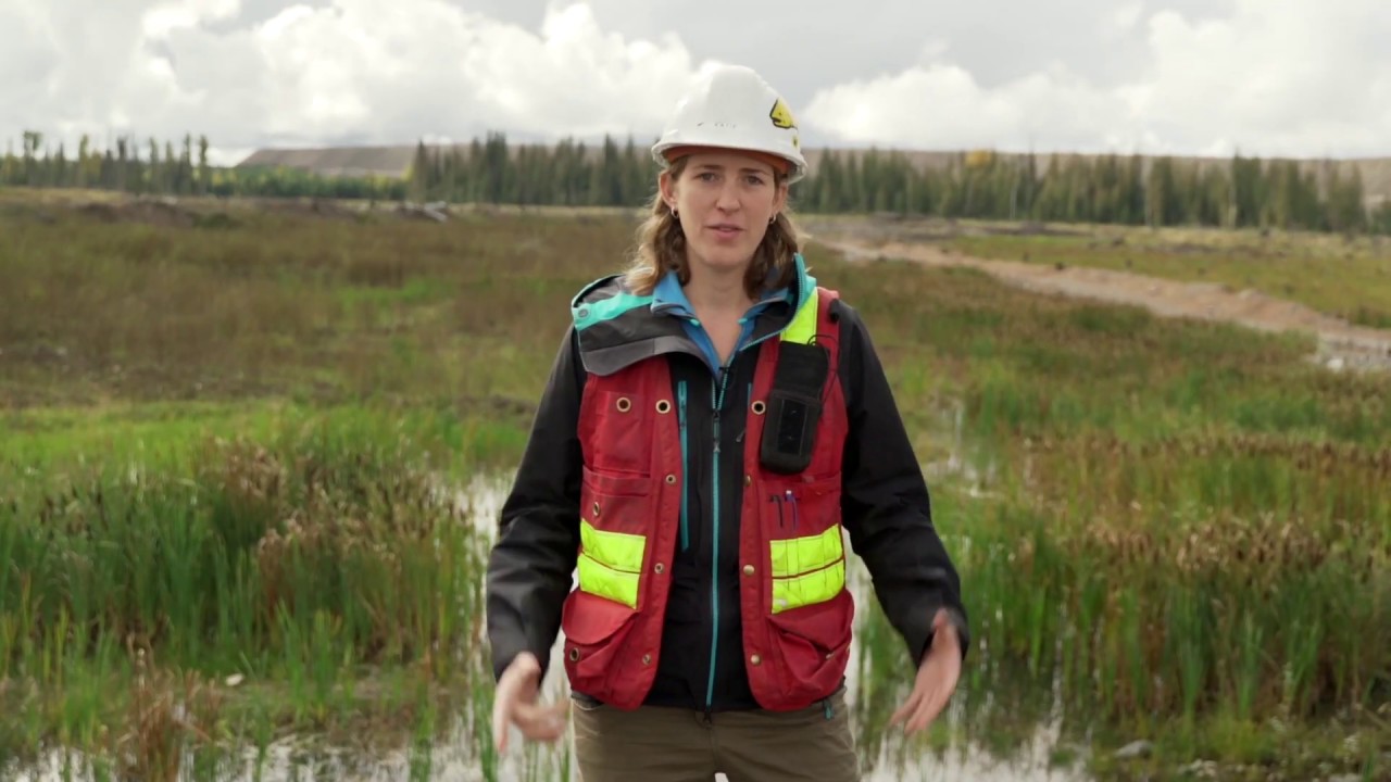 Mount Polley Remediation