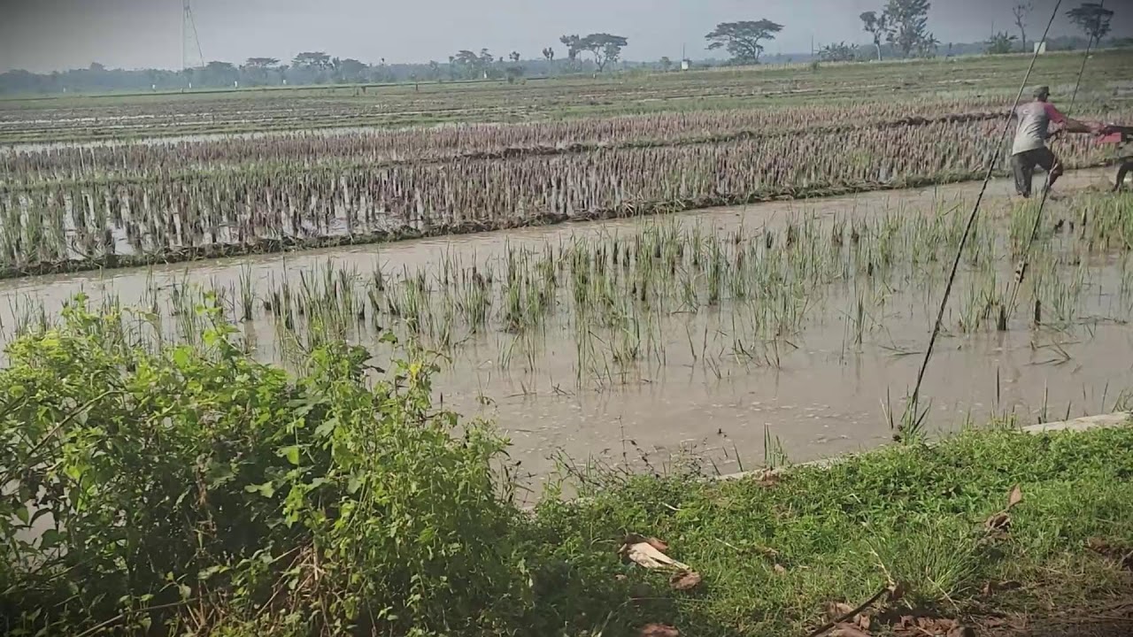 Land Prep: Plowing the Soil for a Massive Crop _FarmersLife _Shorts