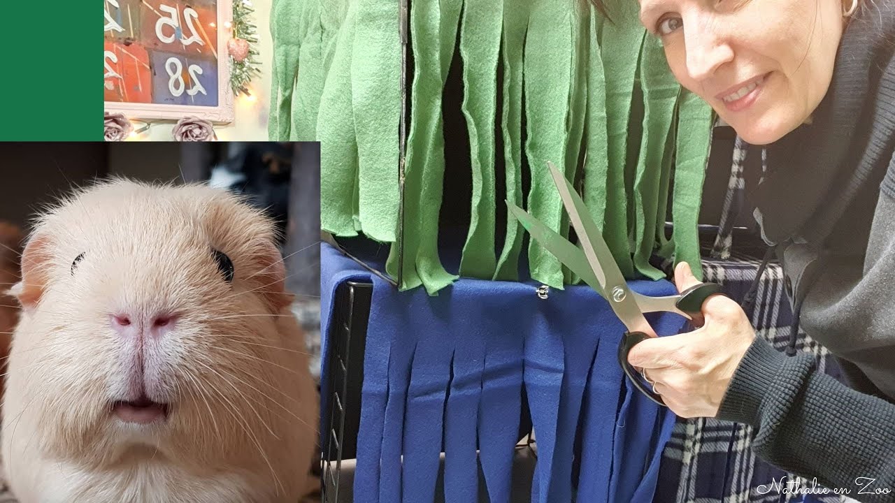 Eenvoudig huisje voor de cavia`s maken!   #22 (Zoo-cember)