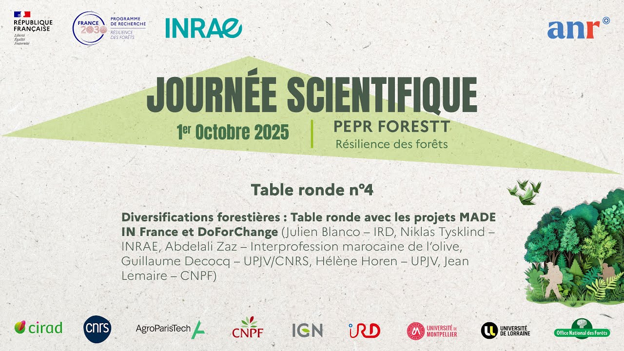 Journée scientifique 2025 du PEPR FORESTT - Table ronde MADE IN FRANCE et DoForChange