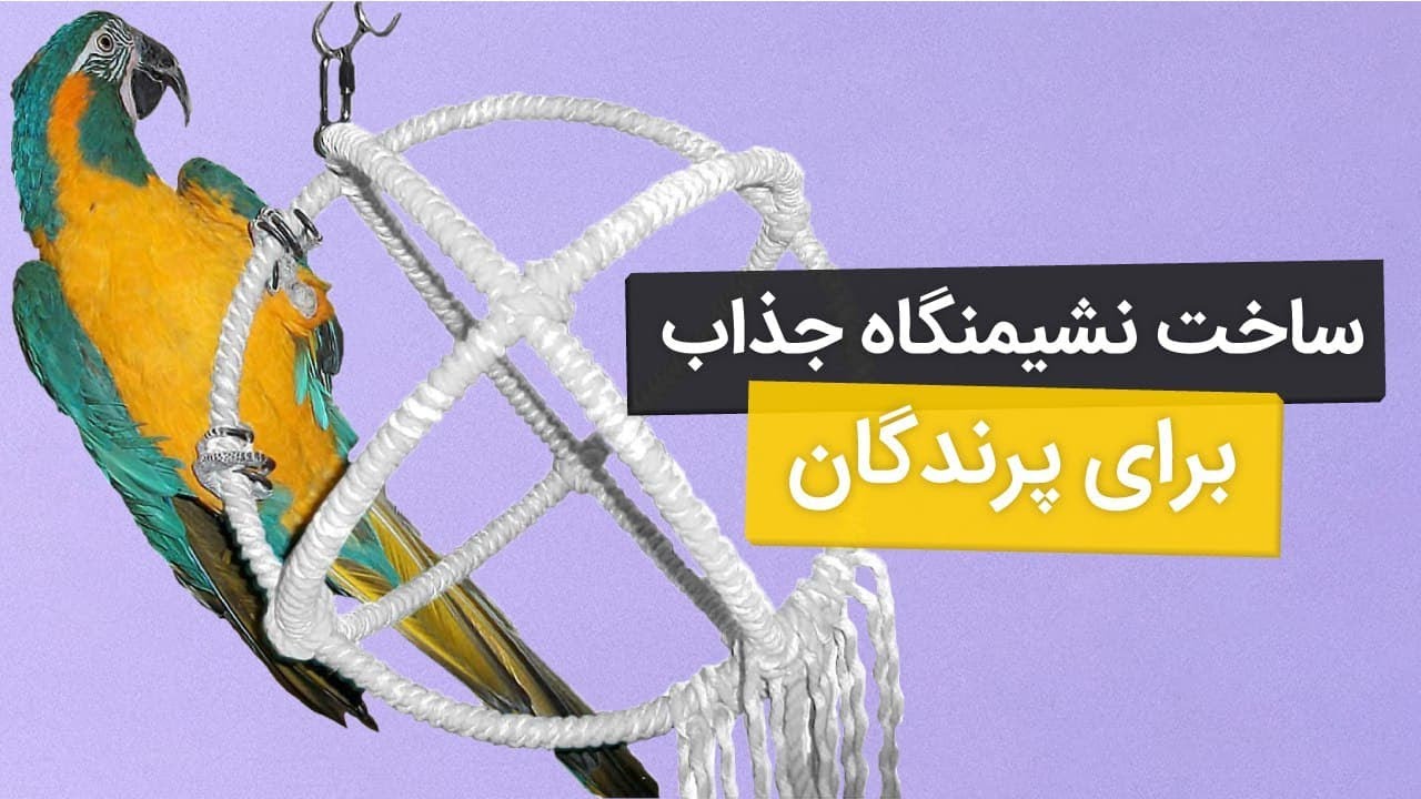 ساخت وسیله آکروبات بازی برای طوطی های بی حوصله و عروس هلندی