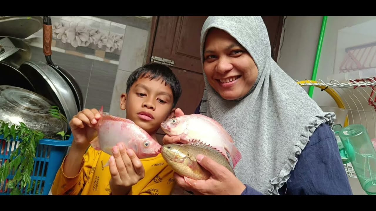 REZEKI MENJALA DI KOLAM.PENUH JALA DAPAT BANYAK IKAN.