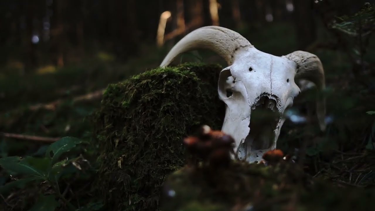 Säuling Tuifl Showtrailer 2024