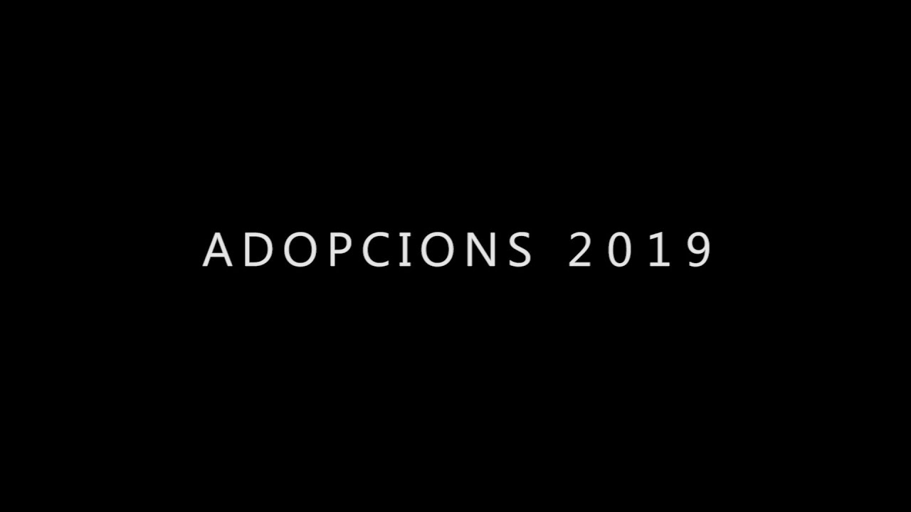 Adopcions 2019