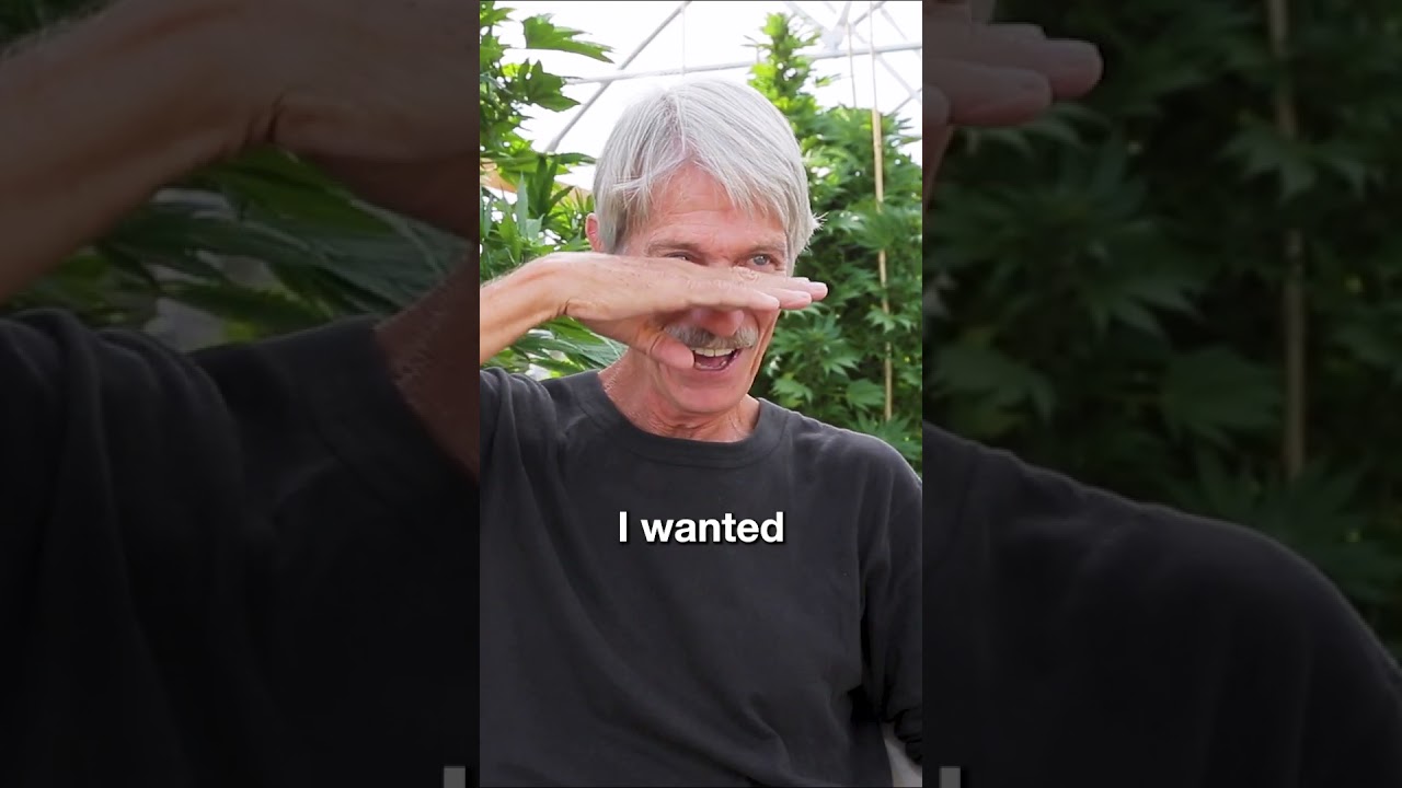 Strong Weed  - Cannabis Breeder Captain Jack On What He Looked For In Cannabis Genetics