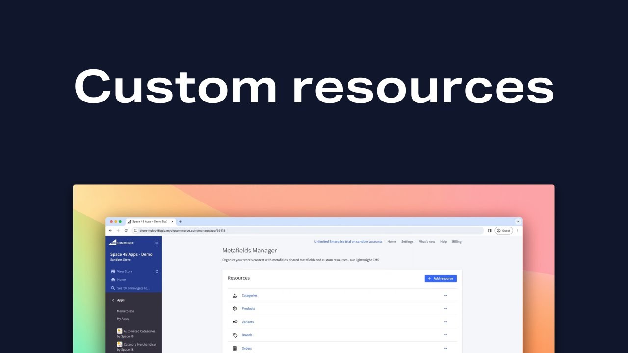 Custom resources in Metafields Manager