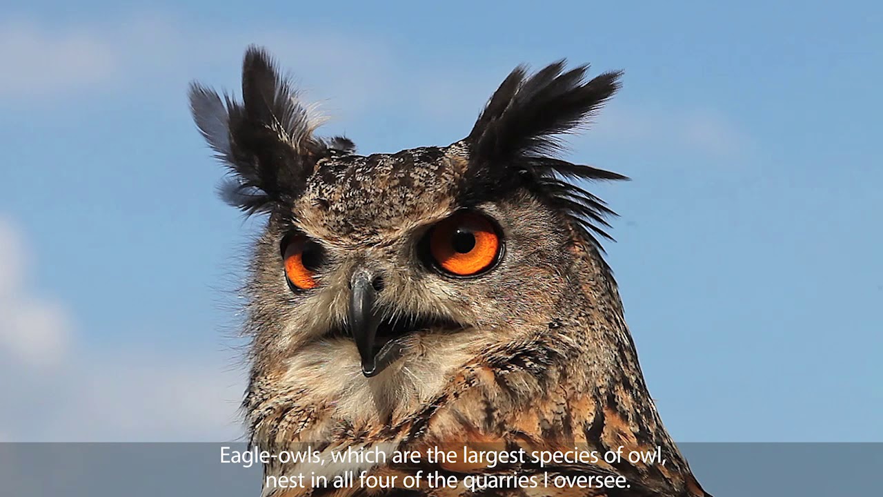 #MyJobStory n°22 : When the Dezső’s quarries become a cozy nest!