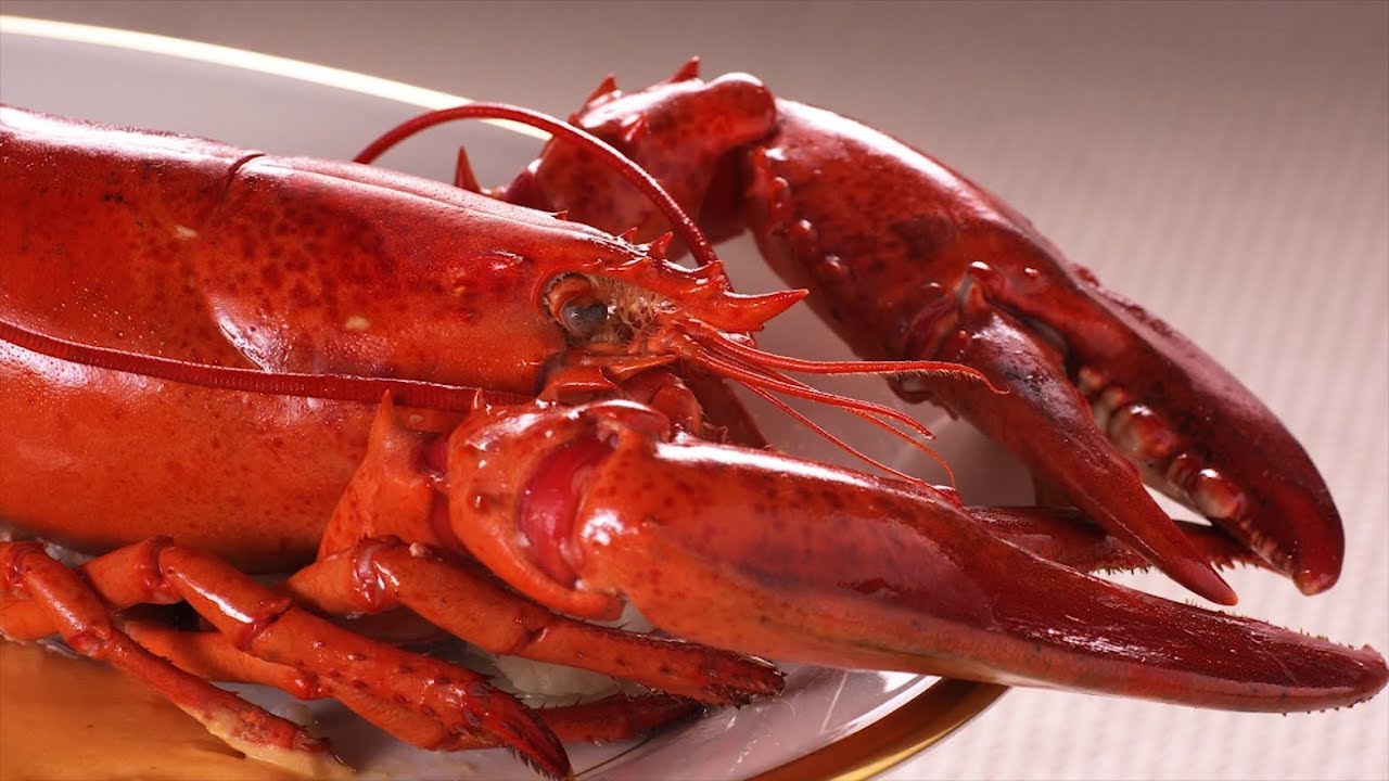 Food Slow Motion HD
