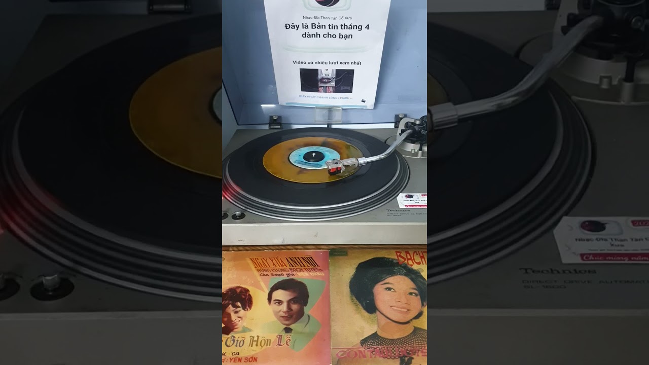 14 NĂM MONG ĐỢI (1968)/ Của Xuân Phát do Hùng Cường & Bạch Tuyết ca