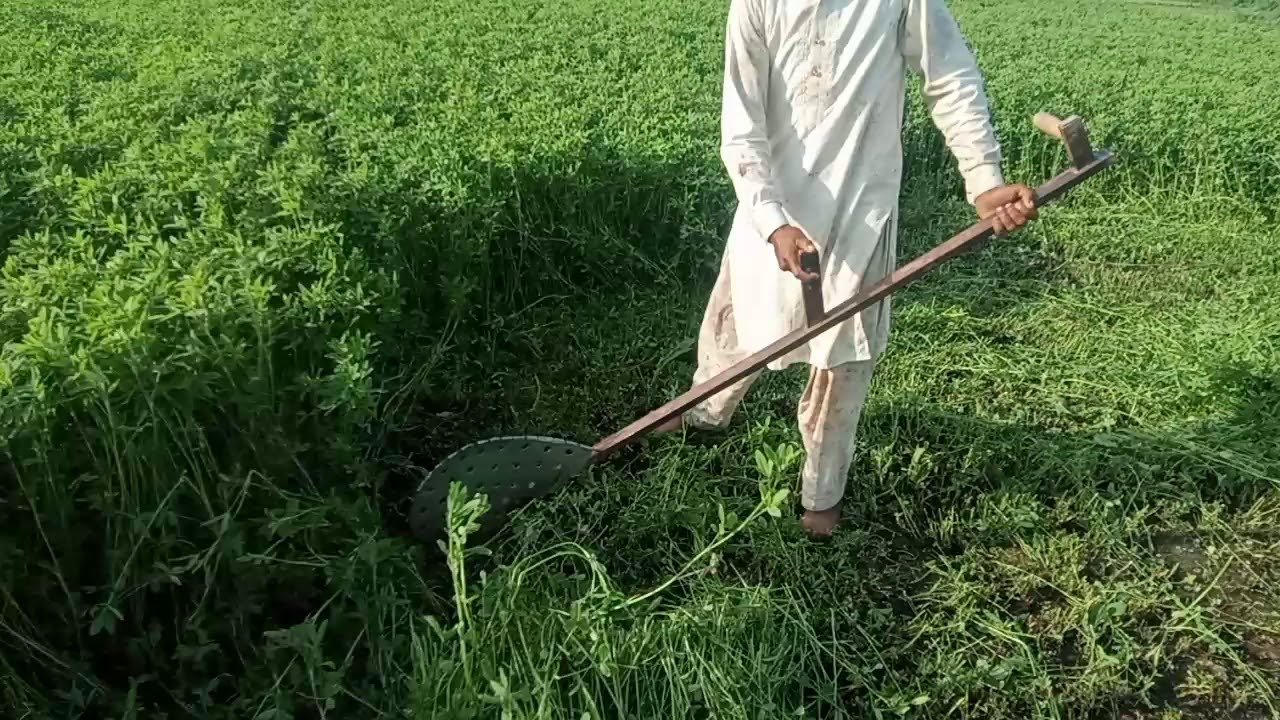 Barseem cutter or scythe in Pakistan Pasha Agro
