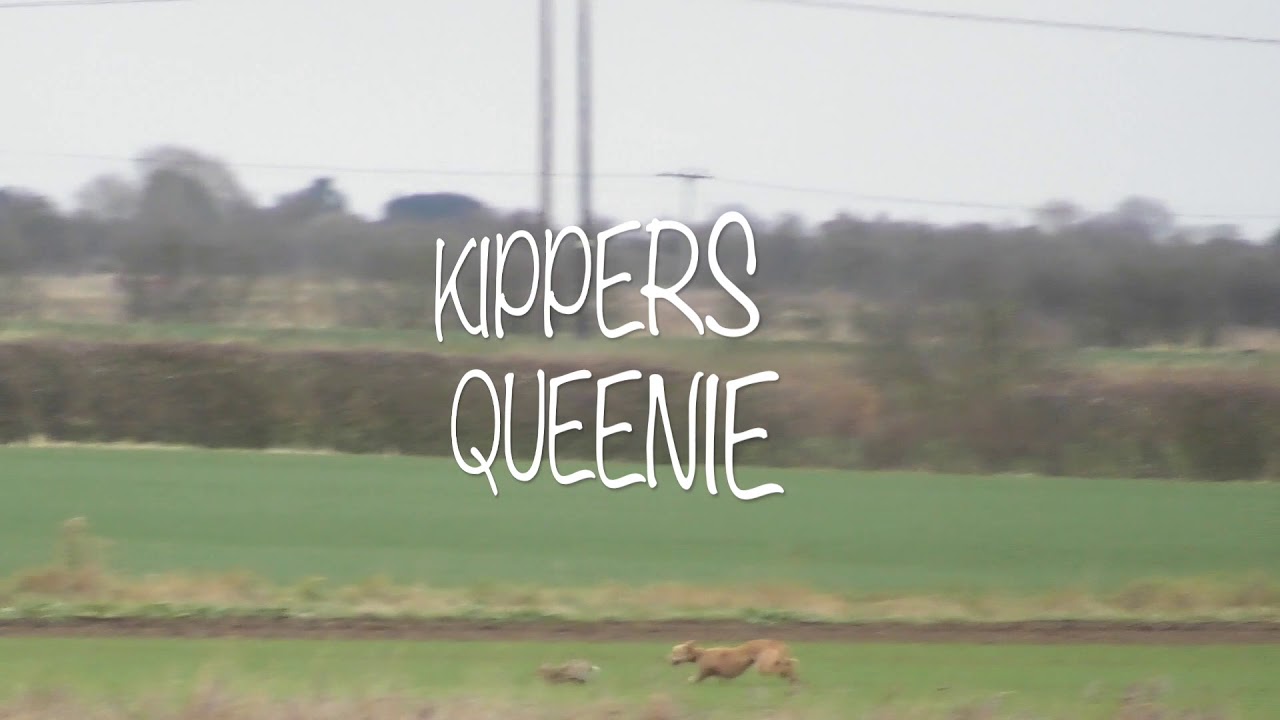 KIPPERS DAYS OUT 4 OUT SOON