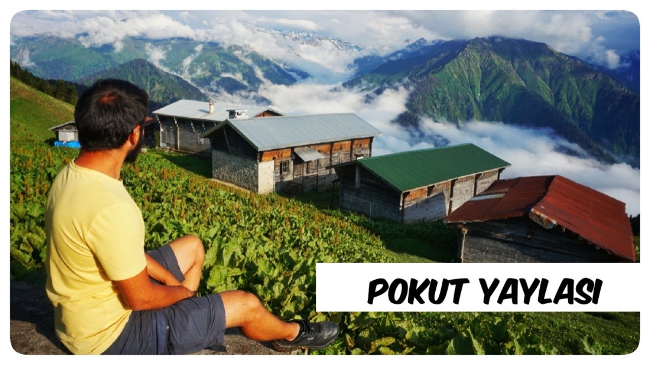 KARADENİZ TURU (9) // Uzungöl'den Pokut Yaylası'na Gidiyoruz // Sal Yaylası #19